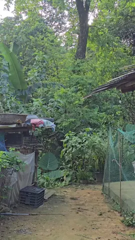 mong chủ camera không xem thấy 🤣