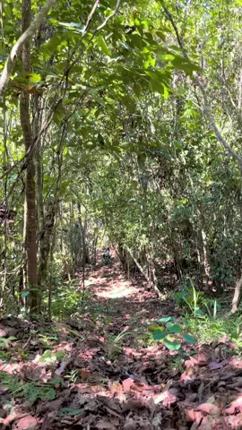 Jangan lupa berlibur #klxboreup #jab8bratic #jelajahalambarabai #klxgordon #promoseruweekend @fendy12 @isyan @JOURA 🎧D313J @braticsuperkeboofficial 