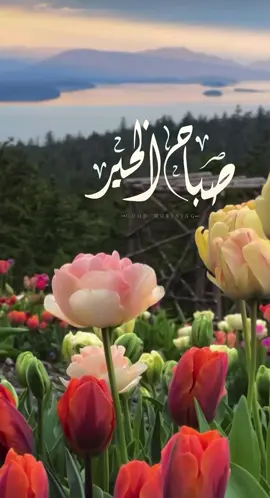 #صباح_الخير #اذكارالصباح #اكسبلور #