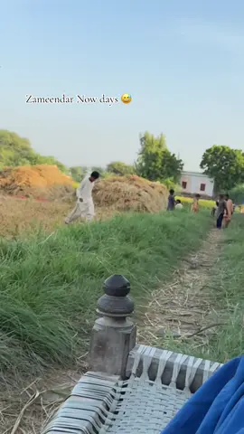 #agriculture🌾🌿  #zameendaar  #foryoupage 