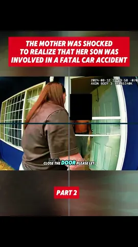 #audit #fyp #copsoftiktok 