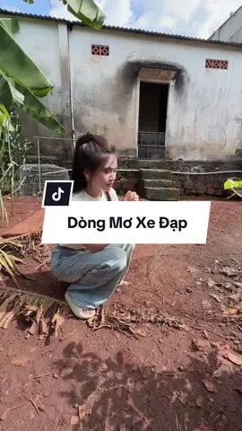 Được tặng 2 mái con gái Mơ Xe Đạp. Hy vọng ra được lứa con ngon gần như bố kkk ☺️ 