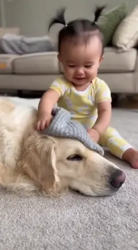 #dog #cutebaby #funnytoddler 