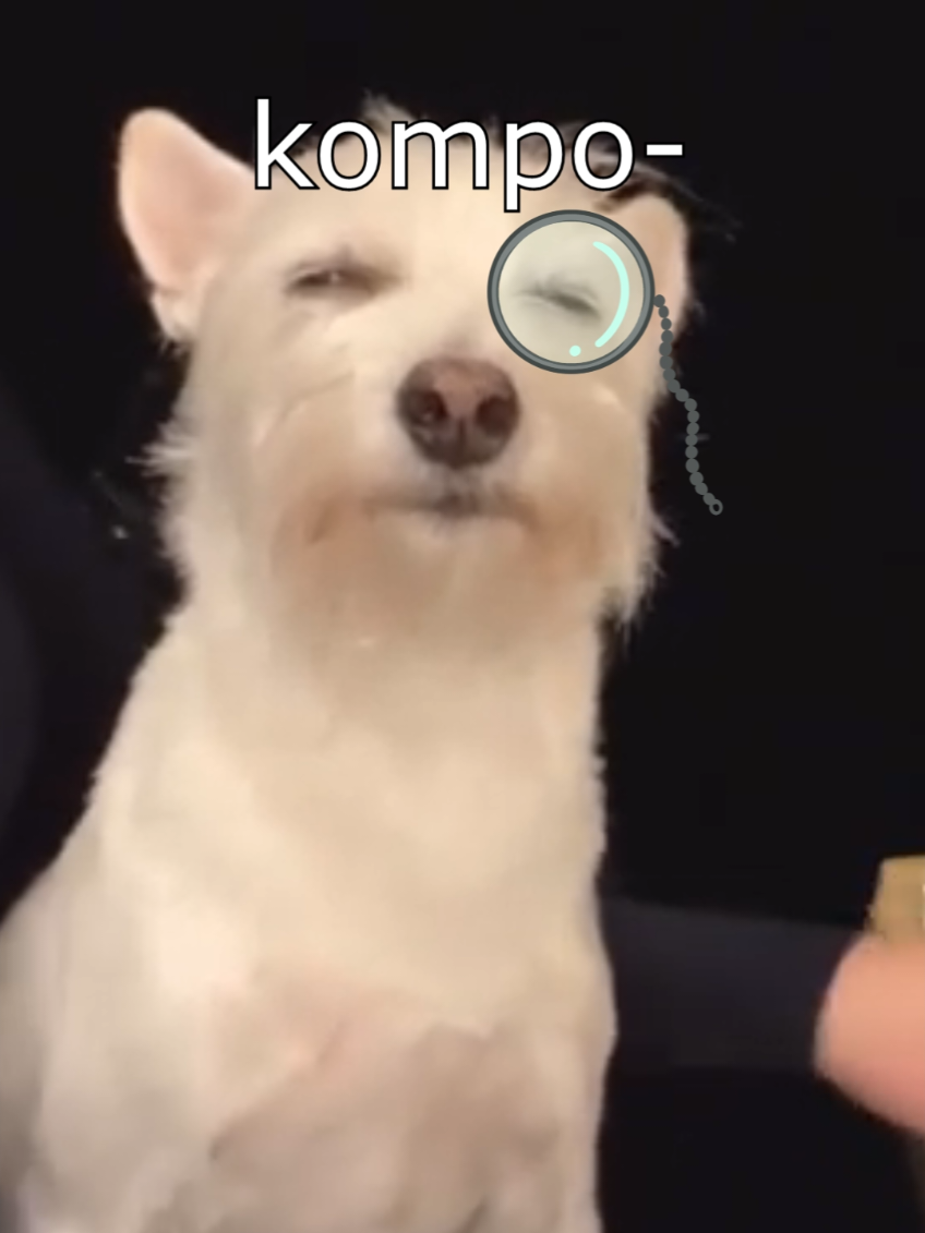 Die Dawgs komponieren  #wenntieresprechenkönnten #lustig #witzig #funny #animals 