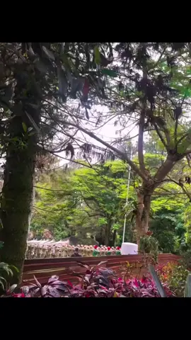 Selamat ulang tahun Bapak Presiden Prabowo Subianto🫡😇 #prabowosubianto #titieksoeharto  #titiekprabowo #ragowohediprasetyo  #fyp 