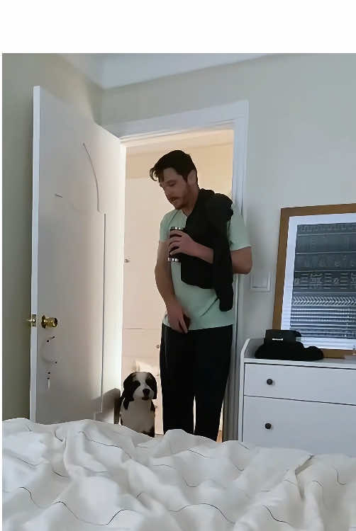 Dogs are alarms that their owner cannot turn off.⏰🐾#dogsoftiktok #funnydog #fyp #funnyvideos #dogs #foryoupage #doglover #pet 