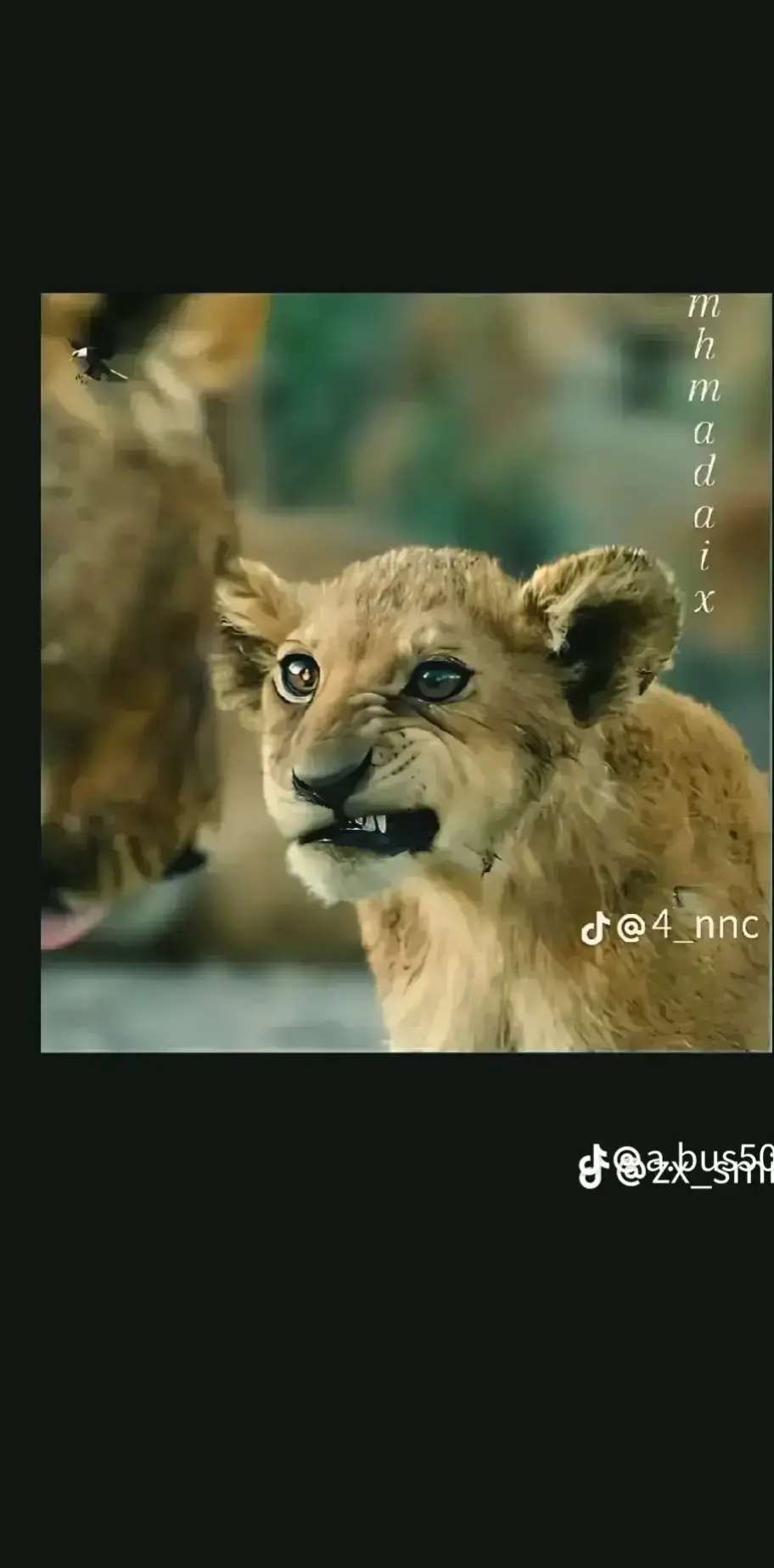 #الشعب_الصيني_ماله_حل😂😂 #اكسبلورexplore #لايك_متابعه_حركة_الاكسبلور❤🦋explorer #creatorsearchinsights #اكسبلورexplore 