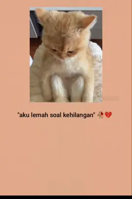 #katakatasedih #katakatabijak #fyp #viral #laguindia 