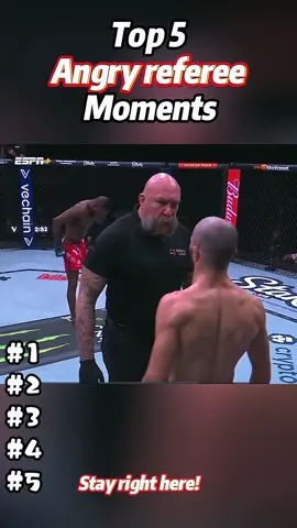 #mma #UFC #top5 #referee #angry 