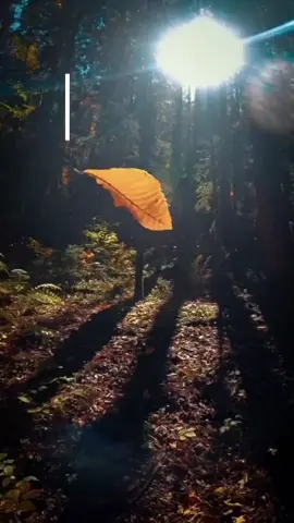 #CapCutMotivacional #CapCut 