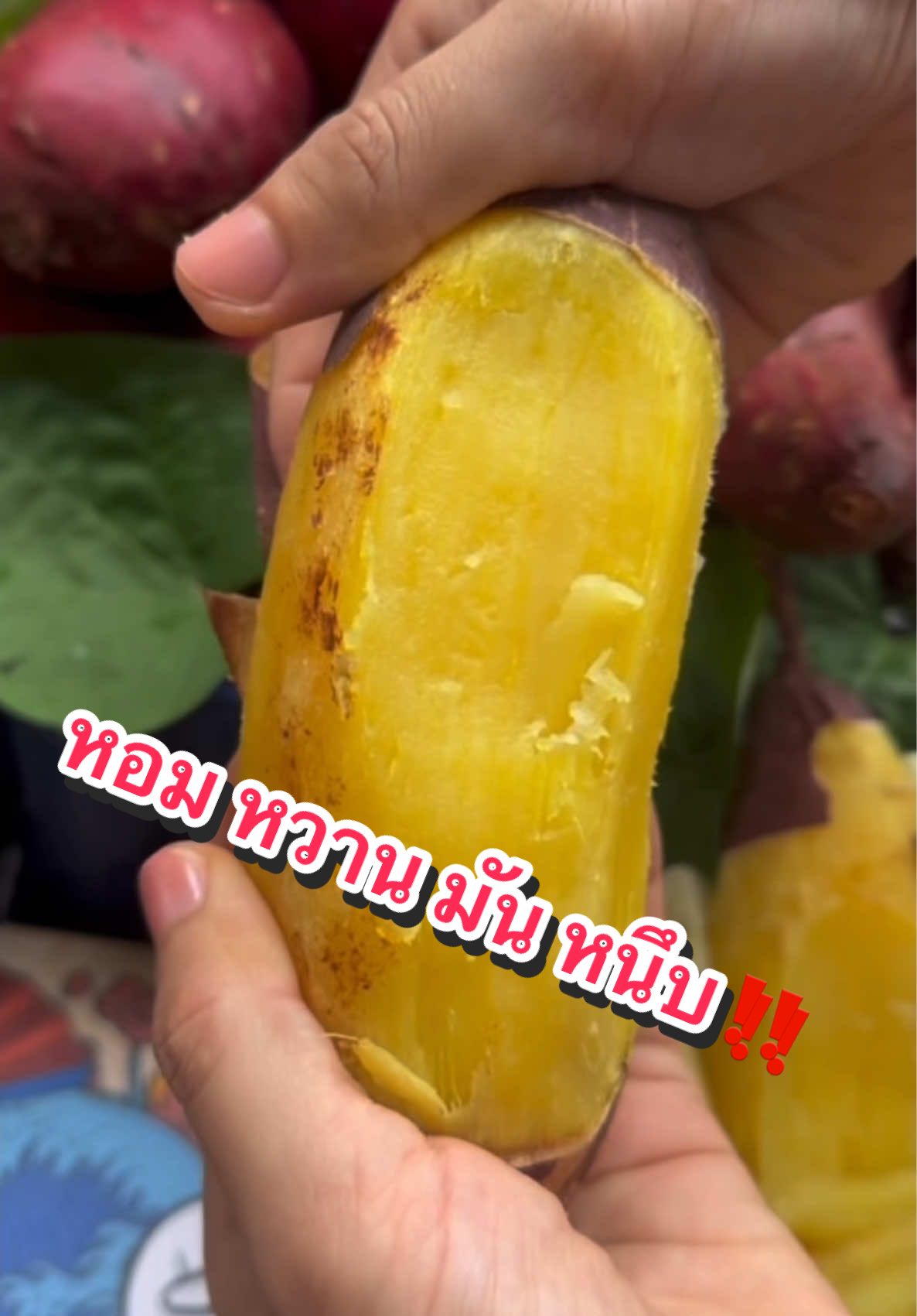 ต้องรีบแล้วนะคะพี่ๆ 🍠🥰 #เทรนวันนี้  #ติ๊กต๊อก #เจนนี่ได้หมดถ้าสดชื่น #เปิดการมองเห็น #ฟีดดดシ 