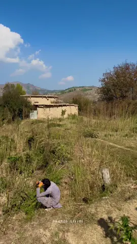 Tirah valley Orakzai Ali khel ⛰️ 🌸             #tirahvalley #foryoupage #watan #viralvideo #shahab_afridi313 