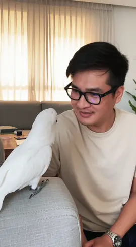 🦜 Vẹt Biết Nói Nay Nó Trả Treo Với Tui Luôn Rồi 🤣 #vetbietnoi #vet #videoviral #viral #viralvideo 