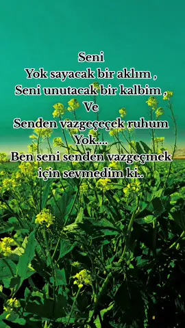 Seni senden vazgeçmek için sevmedim ki #sözlerdiyarı #a❤️k #unutmak #aşkıngücü 