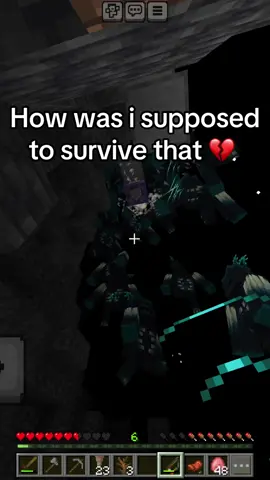 How was i supposed  to survive that brojang💔 #Minecraft #soundboard #emergencypig #brojangpleasenerf #enrique 