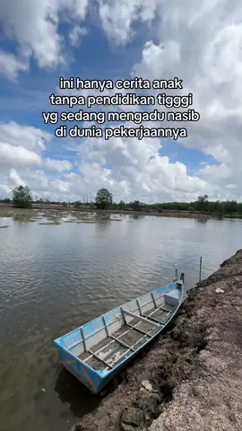 #petambakkaltara🦐🐟🦀 #petambakmuda #buaya🐊 #kulitamabk 