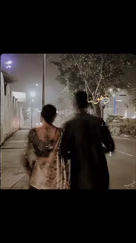 Dholna ve main luti gai han❣️ #punjabisong #song #foryou 