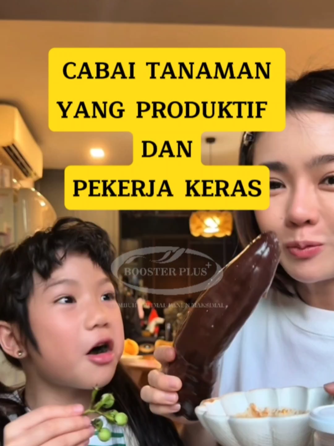 Emangnya ada tanaman yang hobi kerja lembur..🤔 #boosterplus #pertanian #pupuk #petanimilenial #petanicabe #petanicabai