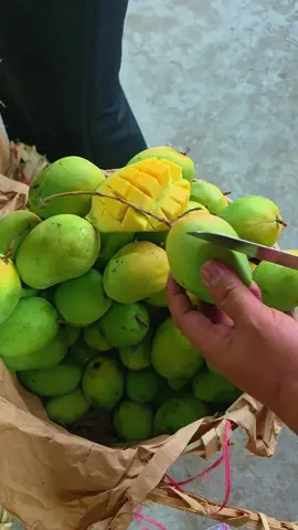 Cuma 80rb/kjg manga madu kelanceng isi 15kg dlm 1 kjg  beli 1 kjg juga boleh wa paman lah 081350221206 Banjar baru depan gerja jln rambai tegah no83 sumberadi  atau picik ja di google ada  Agen buwah gondrong 