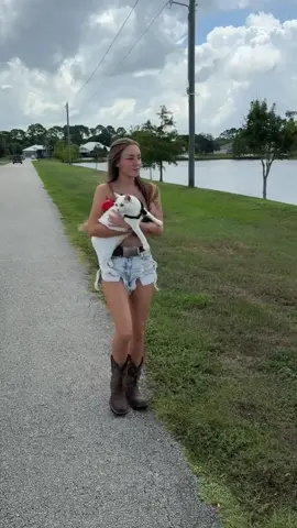 Can I pet it?#foryou #usa #prank #funnyvideos 