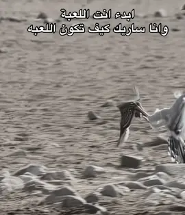 اللعب مع الكبار