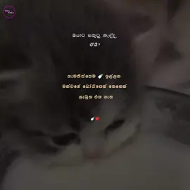 හුම්ම්ම්😌#millionviews#1millionaudition#goviral#viralvideotiktok#fyppppppppppppppppppppppp 