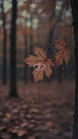 :انفرد بنفسك العالم قصه سيئه🍂🍁🗝#لايك_متابعه_اكسبلور #خريف #CapCut #عنتاب_اسطنبول_تركيا_سوريا_حلب 