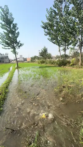 Jummh mobark at village 🫶🏻🥀