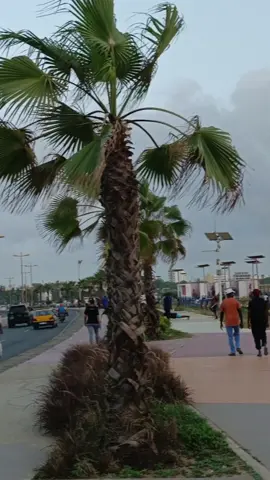 #pourtoi #videoviral #foryoupage #guerison #purification @Miss Tamba 2024👸🇸🇳 