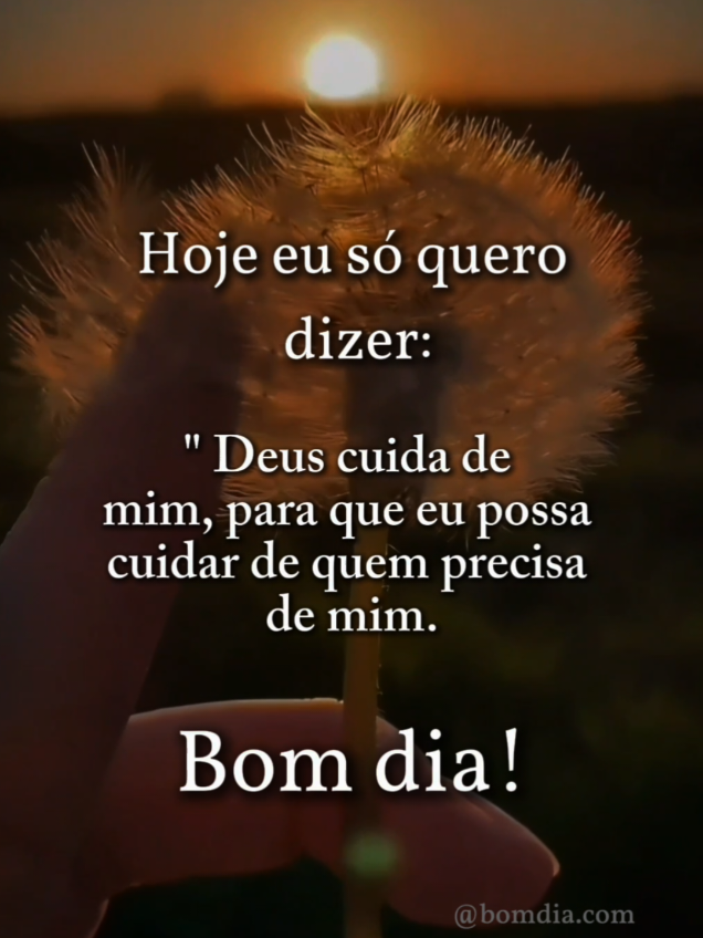 #motivacional #motivação #diaabencoado #bomdiaaaaa #bomdia 