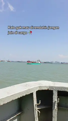 Alumni kpl gacor angkt tangn dlu 😅🤣 @kpleyya @jagoanomak_ @arif_ebengs  @toniridwanfirmans 