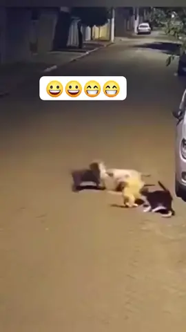 #funny video #facebookpost #viralvideochallenge2024 