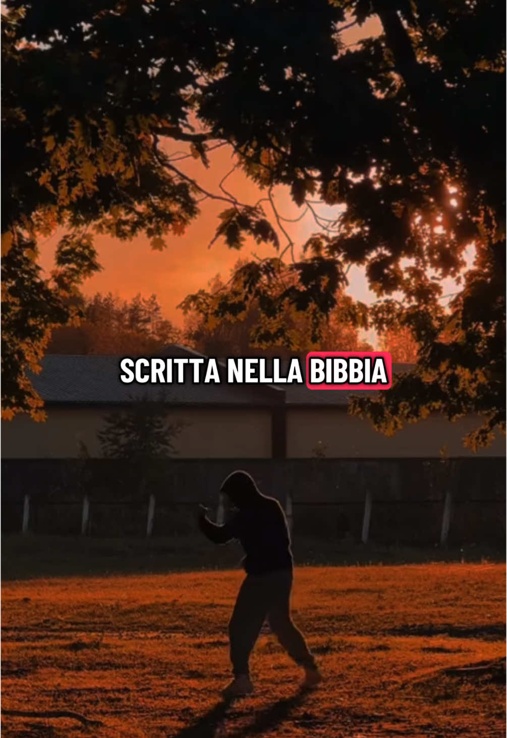 #motivazione #mindset #mentepositiva #successo #emotional #forzainteriore #neiperte 