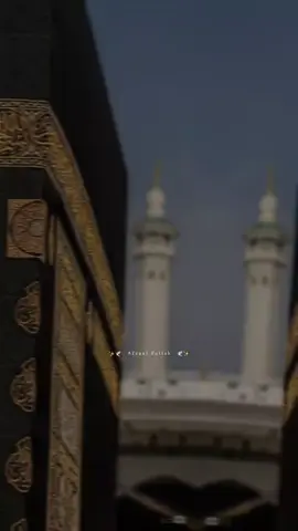 🌲amni...💚makka...🕋🍃   #trendin#viral#foryoupage#official#bangladhesh#🇧🇩✅✅fyppppppppppp{ naima sultana }🍀