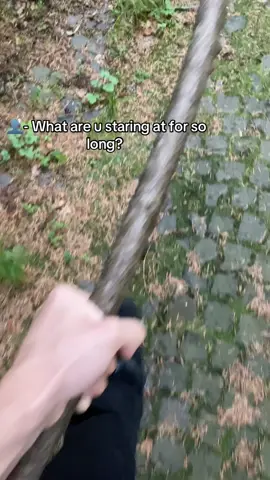 Damn  #romania #castle #sinaia #pelescastle #beautifuldestinations 