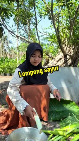 Tumis lompong sayur #lompongsayur #masakansimple #masakandesa #istribahagia #fypp 