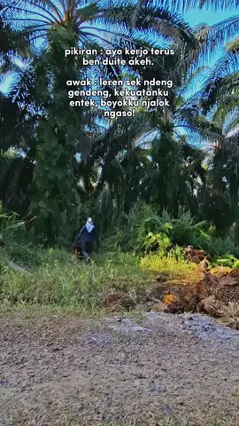 ekspetasi :  kerjo gajian sugih  realita : kerjo gajian  jajan bayar utang  kere meneh 🤣#CapCut #fyppppppppppppppppppppppp #foryoupage #storysawit🌴🌴 