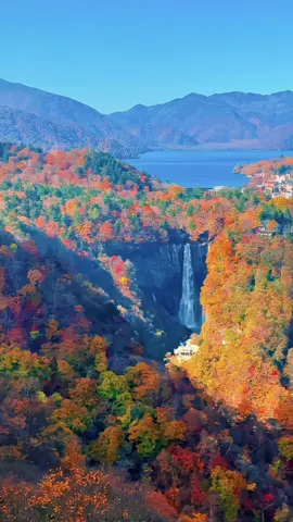 Nikko 1 nơi mà vạn không nên bỏ qua khi vào thu. #xuhuong #nikko #tochigi #秋#日光 #栃木 #おすすめ 