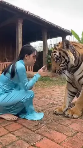 Có làm gì đâu....đã làm gì đâu ...đã chạm vào đâu 😣😣😣