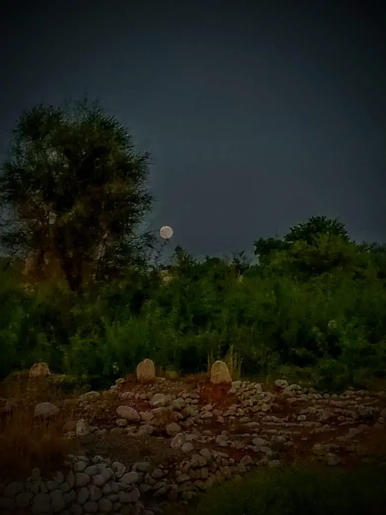 زه به مریمه اشنا ماتم به جور وي چم خفه به وي په ما ماتم به جور وي ستا درب ته به یې چي خير او خير او خيريت وي زمونږ ترب نه به وي جار ماتم به جور وي یو نه شه په اعلان کلي کي واوري ته به راشي وارخطا ماتم به جور وي ما چی خوند وصیت خلکو ته کړی ته به ونه کړې ما ماتم به جور وي زما خنه به يې تيرلي وي جانانه خپل به ناست وي شاه او خوا ماتم به جور وي ته دیدار په دې ماخن ديدان ونكړي لكه مر شول صبا ماتم به جور وي#mahmoodorakzai0 #foryou #fashionmodel #peshawar #trending 