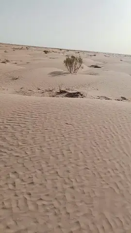 🥰🥰🥰🥰🥰