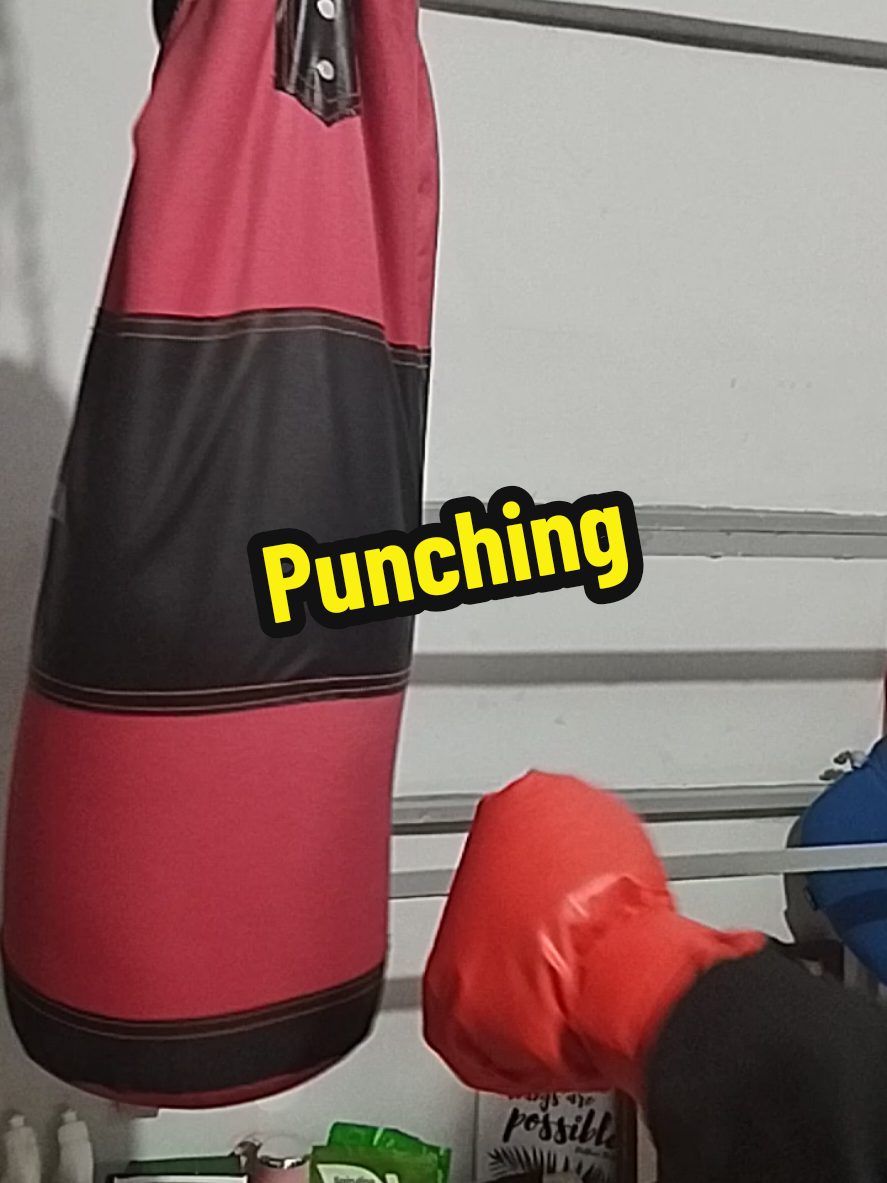 Help your family to exercise a Punching Bag for all #boxing #punchingbag #sports  #homeexercise #easyexercise 