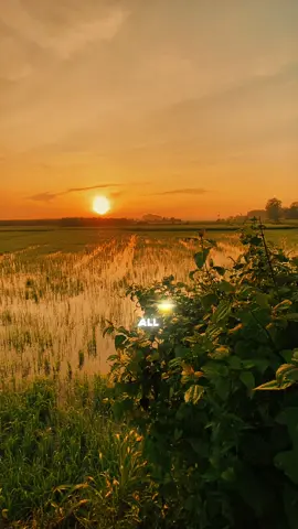 #CapCut Chill with dawn today . #capcutradio #dancingwithyourghost #capcutpioneer #pioneertemplate 