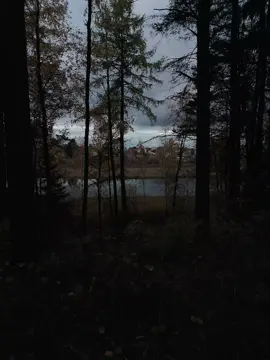 стих про травму#реки #стих #травма 