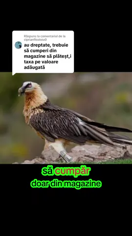 Ca răspuns pentru @ciprianflostoiu0 #foruyourlage 