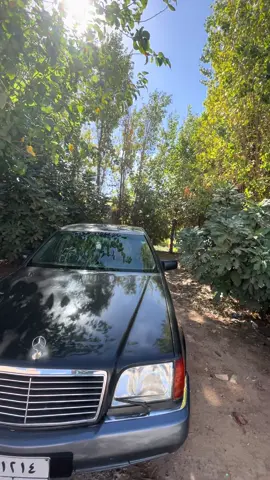 #المارسدس #ماشاءاللہ #act #mercedes #foryou 