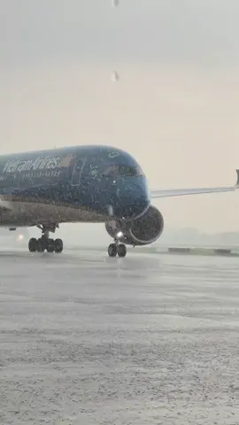 Dù là cơn mưa băng giá  Dù đợi chờ là lỗi xót xa  #Yeumaybay  #vietnamairlines  #TikTokAwardsVN2025 