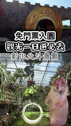 彰化北斗一日遊攻略🗺️！免門票鹿角蕨秘境+米界網美牆+歐洲城堡🏰 一條龍玩到嗨！  💚 第一站：與你蕨緣 → 鹿角蕨聯合國🌱 免門票！有溜滑梯、小動物，爸媽放電神隊友！還有輕食飲料超方便！  🍚 第二站：台灣穀堡 → 網美必拍稻米觀光工廠📸 米餅試吃、熱茶免費喝，工作人員超熱情！  👑 第三站：貝林古堡 → 秒到歐洲的超美教堂！必吃葡式蛋塔🍮 飲料還能續！公主夢實現地！  🎁 第四站：快速通關玩具店 → 玩具多到選擇障礙！送禮補貨超平價！ 快點標記想一起去的朋朋，排假衝一波！✈️ 店家資訊（可分多行呈現，更易讀）： 與你蕨緣： 彰化縣埤頭鄉中埔路2巷 (週三休) 台灣穀堡： 彰化縣埤頭鄉彰水路二段526號 貝林古堡： 彰化縣埤頭鄉斗苑東路1之68號 (週二三休) 快速通關玩具店： 彰化縣埤頭鄉斗苑東路5號 #彰化景點 #北斗一日遊 #鹿角蕨 #親子景點 #免門票景點