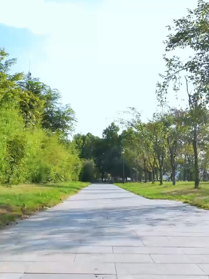 Ngẫu Hứng : Phần 10 