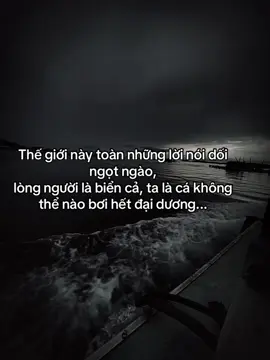Thế giới này toàn những lời nói dối ngọt ngào, lòng người là biển cả,  ta là cá không thể nào bơi hết đại dương... #fyp #tamtrang #sory #sttxahoi #hoanganh29012003 